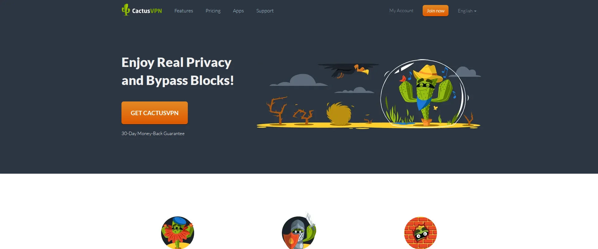 CactusVPN website screenshot