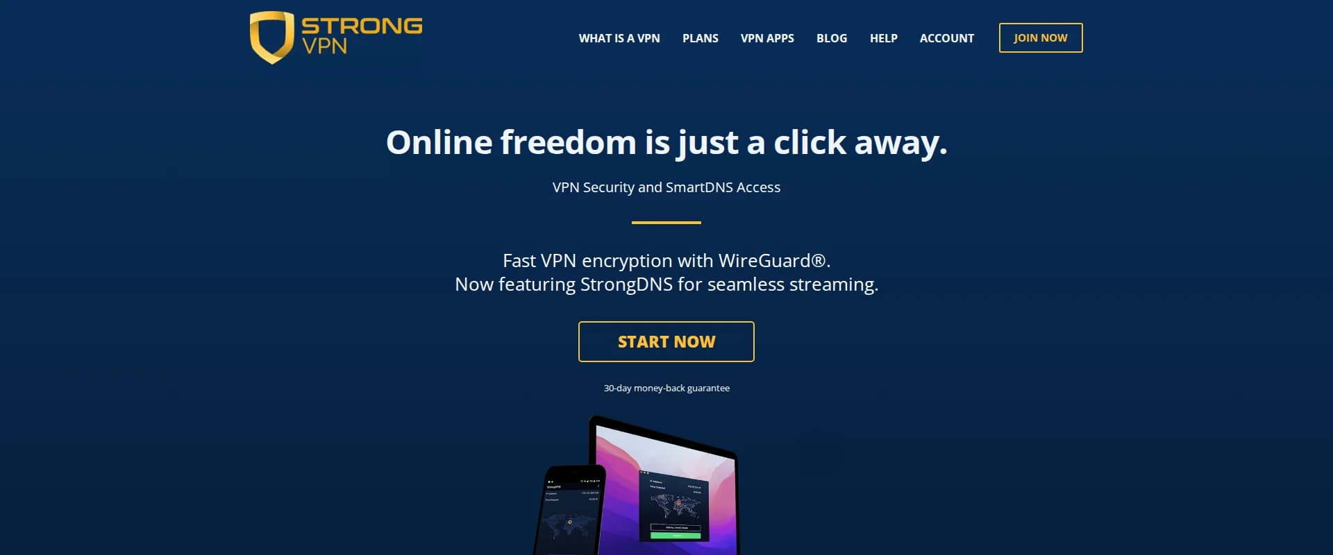 StrongVPN website screenshot